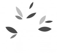 Tree Wall Decals