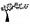 Modern Bonsai Tree Wall Decals