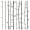 Branch Wall Decals