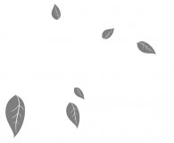 Branch Wall Decals