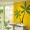 Tree Wall Decals - Palm Tree