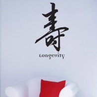Kanji Wall Decals