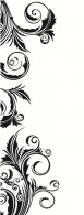Decorative Wall Decals