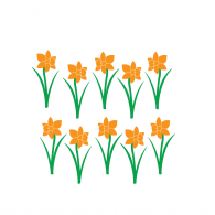 Daffodils Flower Wall Decals